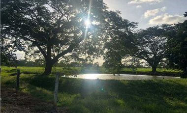VENTA  DE FINCA EN PLANETA RICA CORDOBA