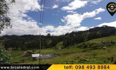Terreno de venta en San Luis de Mangal
 – código:16679