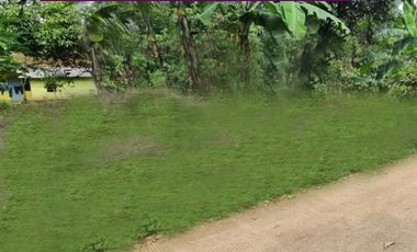 Area Alun-Alun Ciparay Kaplingan 100 Jutaan