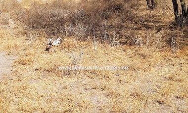 TERRENO EN VENTA OPORTUNIDAD EN TEQUISQUIAPAN EN BORDO BLANCO VICTOR