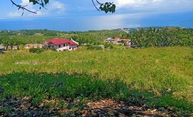 OVERLOOKING SEAVIEW FARM FOR SALE WITH MAHOGANY TREES