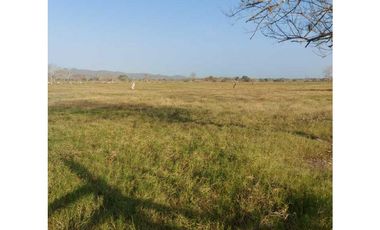 VENTA DE FINCA DE 200 HECTREAS EN MONTERIA, CORDOBA