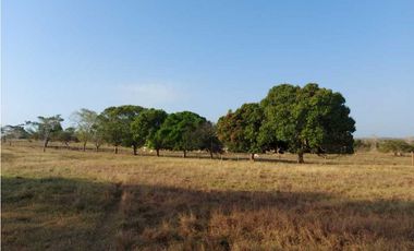 VENTA DE FINCA DE 200 HECTREAS EN MONTERIA, CORDOBA