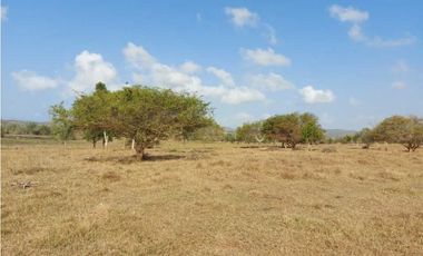 VENTA DE FINCA DE 200 HECTREAS EN MONTERIA, CORDOBA