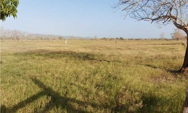 VENTA DE FINCA DE 200 HECTREAS EN MONTERIA, CORDOBA