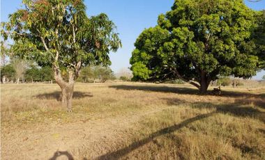 VENTA DE FINCA DE 200 HECTREAS EN MONTERIA, CORDOBA