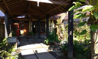 Cozy House in Kekalik Mataram