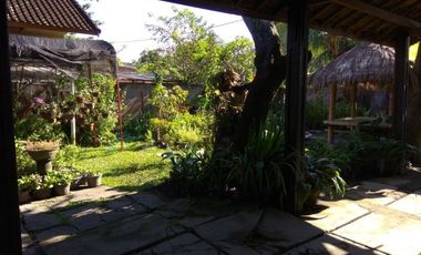 Cozy House in Kekalik Mataram