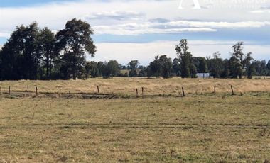 Parcela en Venta en Fundo 