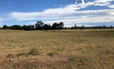 Parcela en Venta en Fundo 