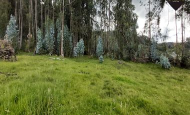 Terreno de venta en San José - Chiquintad – código:19410