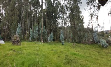 Terreno de venta en San José - Chiquintad – código:19410