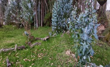 Terreno de venta en San José - Chiquintad – código:19410