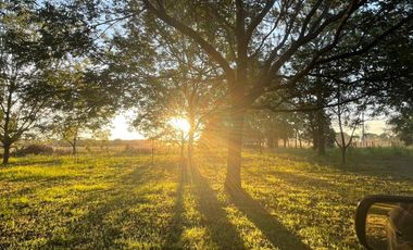 Lote en Gualeguay , Entre Ríos