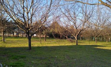 Lote en Gualeguay , Entre Ríos