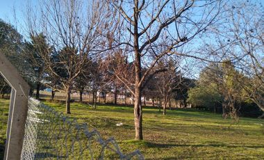 Lote en Gualeguay , Entre Ríos