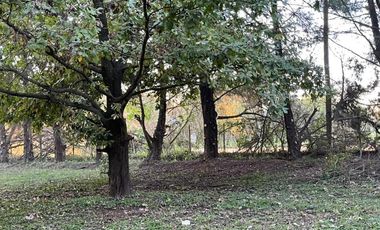 Lote en Gualeguay , Entre Ríos