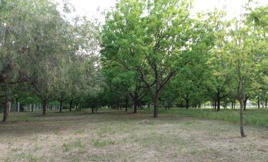 Lote en Gualeguay , Entre Ríos