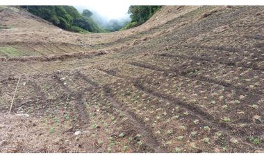 Se Vende Terreno Tierras Altas (Finca) V-TA-01