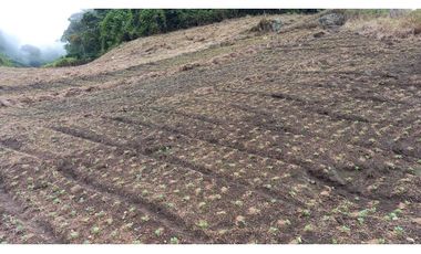 Se Vende Terreno Tierras Altas (Finca) V-TA-01