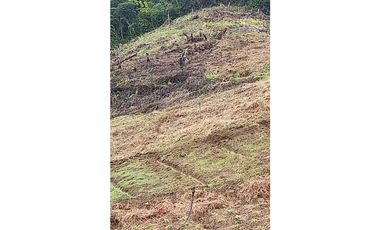 Se Vende Terreno Tierras Altas (Finca) V-TA-01