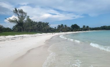 VENTA LOTES TERRENOS XPUHA 36 MESES SIN INTERES FASE CARACOL CERCA AL MAR