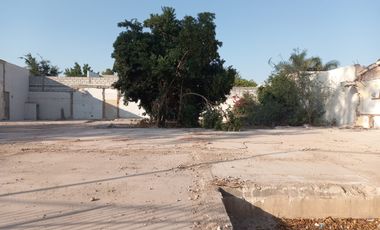TERRENO EN RENTA SAN ISIDRO TORREÓN