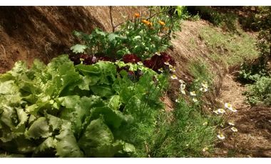 SE VENDE CASA EN SANTA HELENA VEREDA SAN IGNACIO