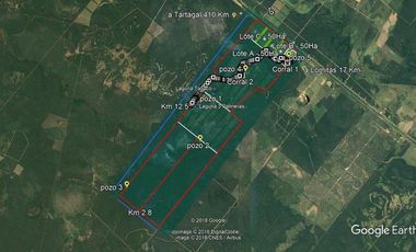 Campo sobre Ruta 81 en Formosa