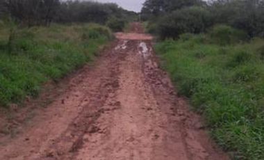 Campo sobre Ruta 81 en Formosa
