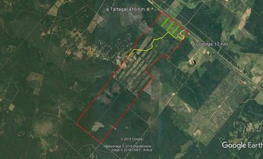 Campo sobre Ruta 81 en Formosa