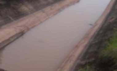 Campo sobre Ruta 81 en Formosa