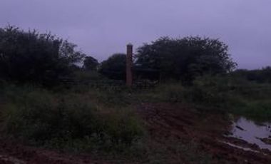 Campo sobre Ruta 81 en Formosa