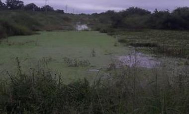 Campo sobre Ruta 81 en Formosa