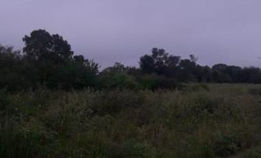 Campo sobre Ruta 81 en Formosa