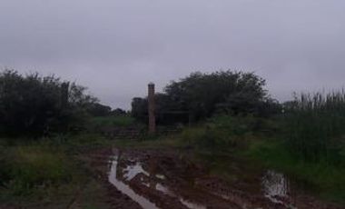 Campo sobre Ruta 81 en Formosa