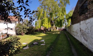 VENDO CASA CON TERRENO Y GALPON EN QUEQUEN