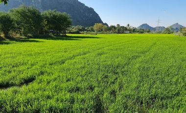 Land for sale in Cha-Am, Phetchaburi