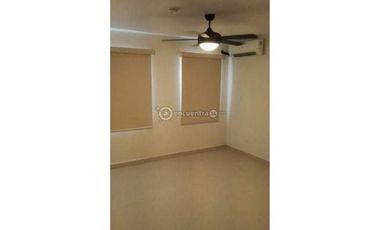 PANAM PACIFICO, Howard, PH Woodland