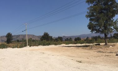 Terreno en Venta, El Taray