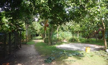 finca en venta en caracoli. Cod V78747