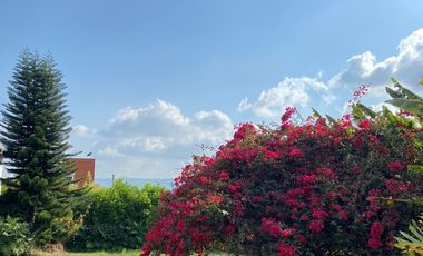 finca en arriendo/venta en menzuli. Cod A109886