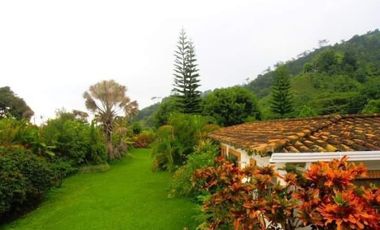 finca en arriendo/venta en menzuli. Cod A109886
