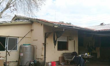 Se Alquila Importante Caballeriza - Stud en Zona Martínez