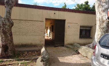 Se Alquila Importante Caballeriza - Stud en Zona Martínez