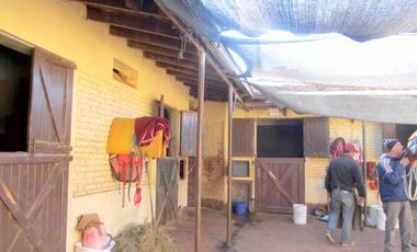 Se Alquila Importante Caballeriza - Stud en Zona Martínez