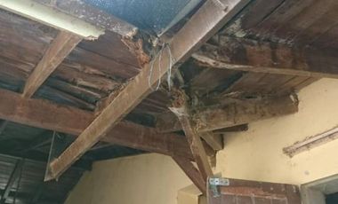 Se Alquila Importante Caballeriza - Stud en Zona Martínez