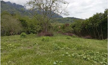 VENTA LOTE TAMESIS, SUROESTE ANTIOQUEÑO