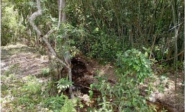 VENTA LOTE TAMESIS, SUROESTE ANTIOQUEÑO