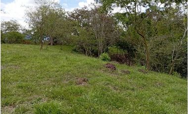 VENTA LOTE TAMESIS, SUROESTE ANTIOQUEÑO